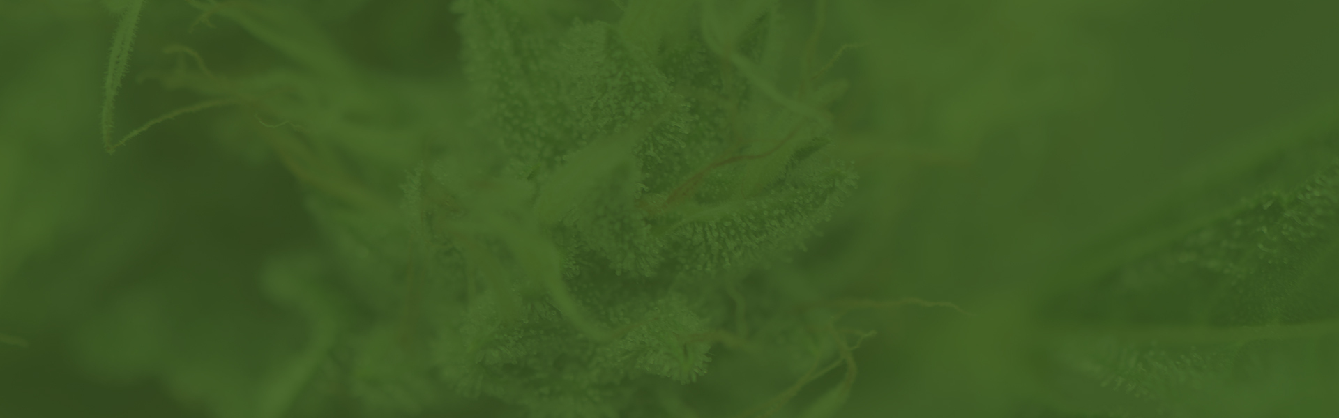 Press Standard Farms